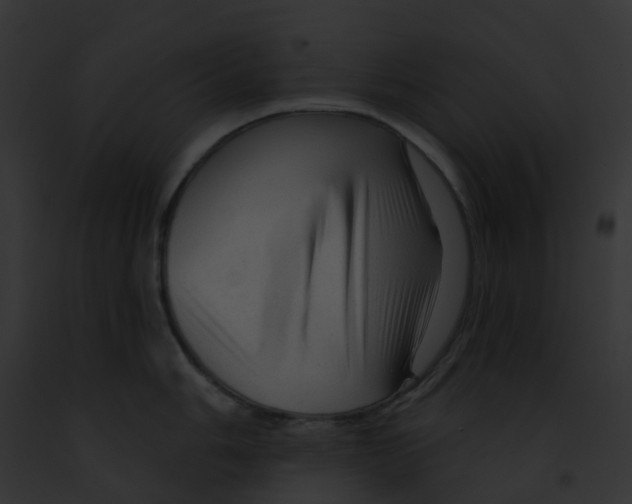X0000091891006200710031137