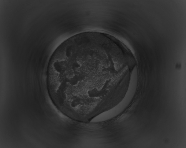 X0000091891007200710031137