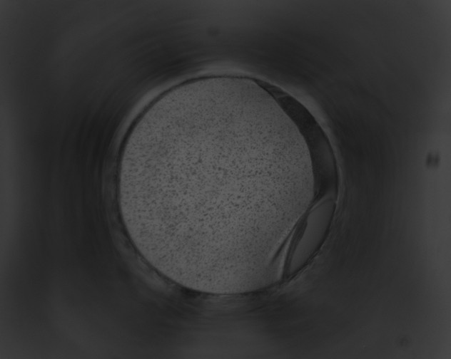 X0000091891008200710031137