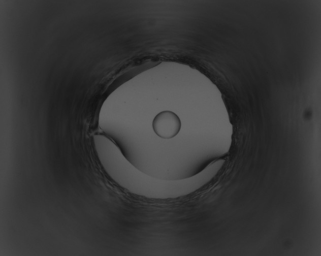 X0000091891010200710031137