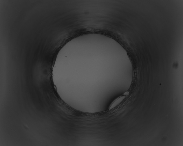 X0000091891012200710031137