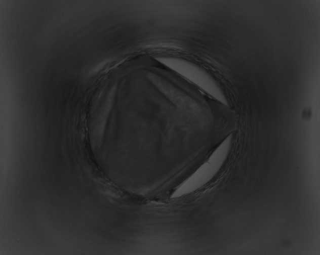 X0000091891014200710031137