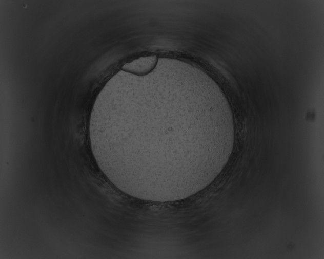 X0000091891015200710031137