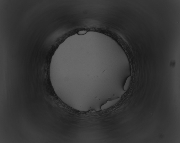 X0000091891016200710031137
