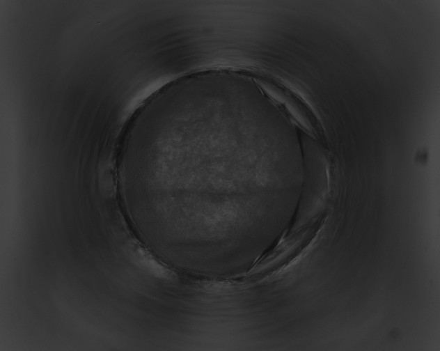 X0000091891018200710031137