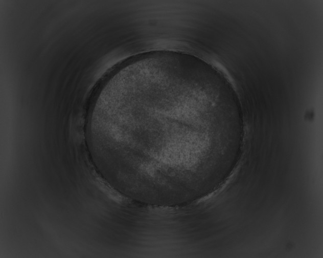 X0000091891019200710031137
