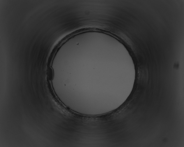 X0000091891020200710031137