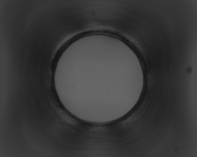 X0000091891021200710031137