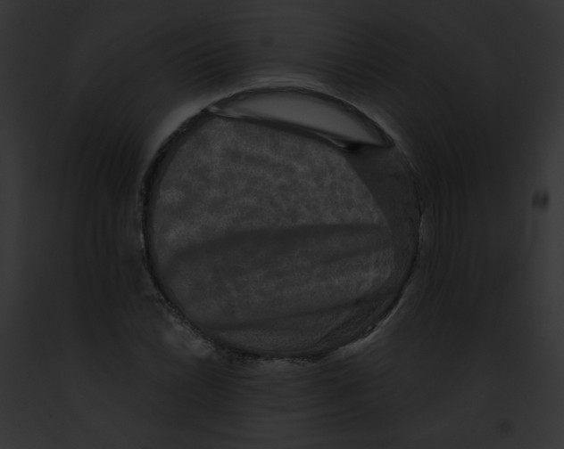 X0000091891022200710031137