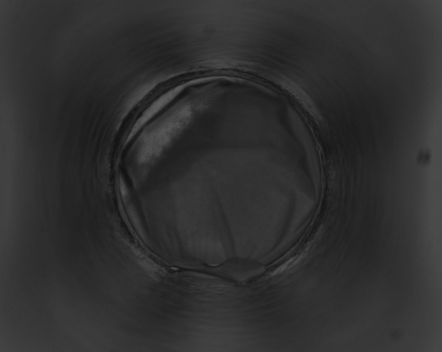 X0000091891023200710031137