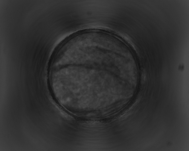 X0000091891024200710031137