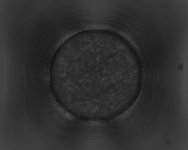 X0000091891025200710031137