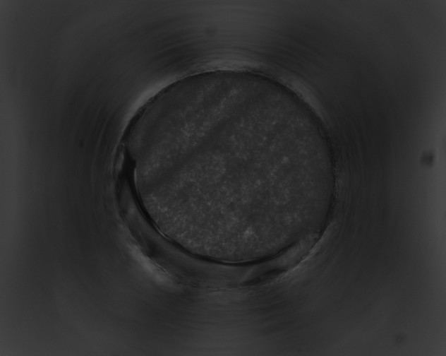 X0000091891026200710031137