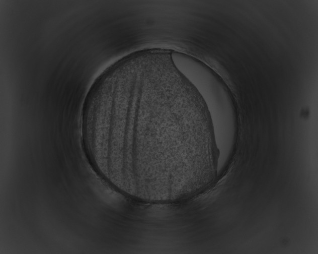 X0000091891028200710031137