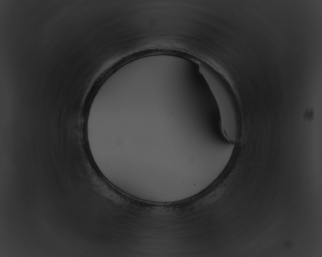 X0000091891029200710031137