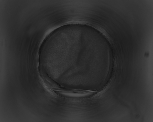 X0000091891030200710031137