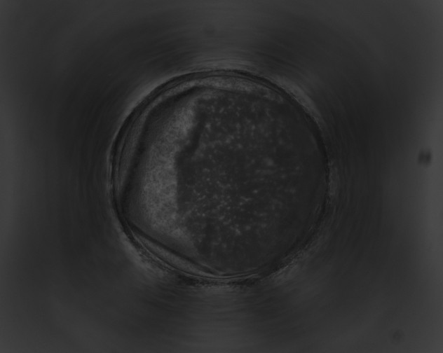X0000091891031200710031137