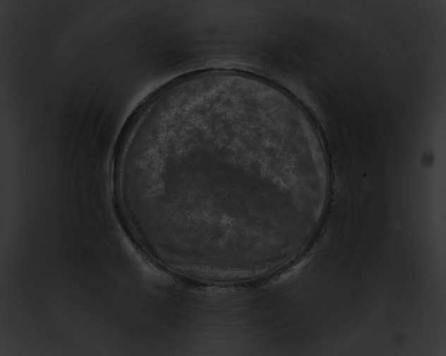 X0000091891032200710031137