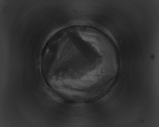 X0000091891035200710031137