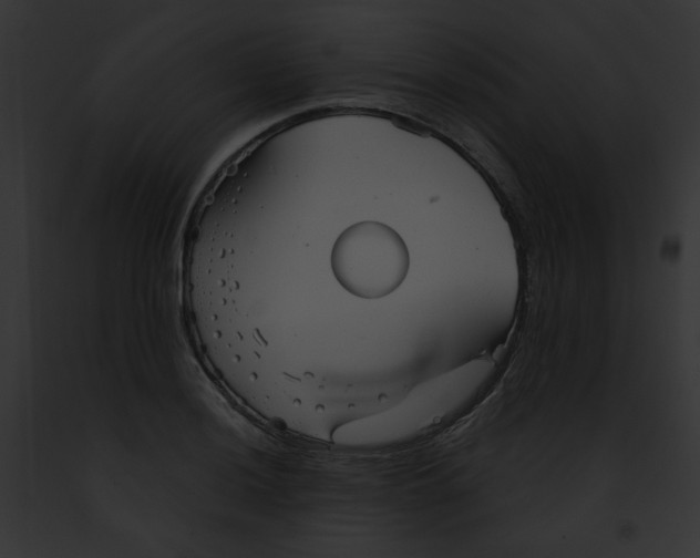 X0000091891036200710031137