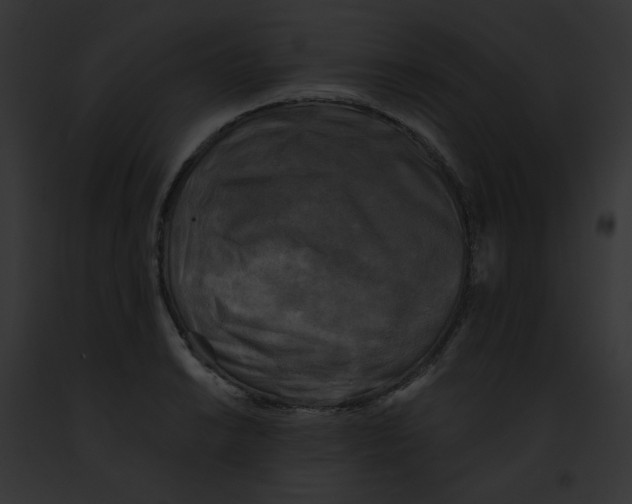 X0000091891038200710031137