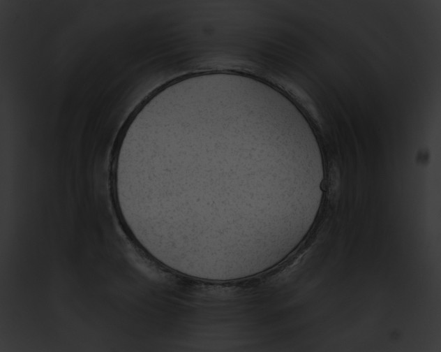 X0000091891039200710031137
