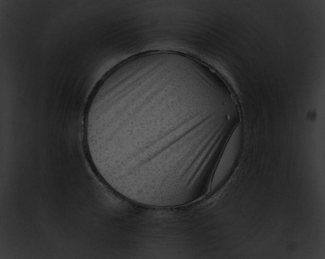 X0000091891040200710031137