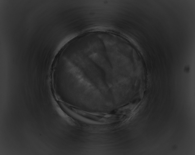X0000091891042200710031137