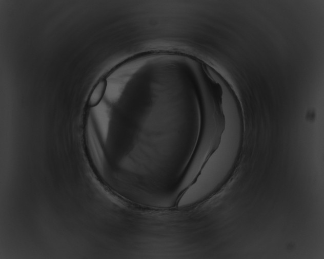 X0000091891045200710031137