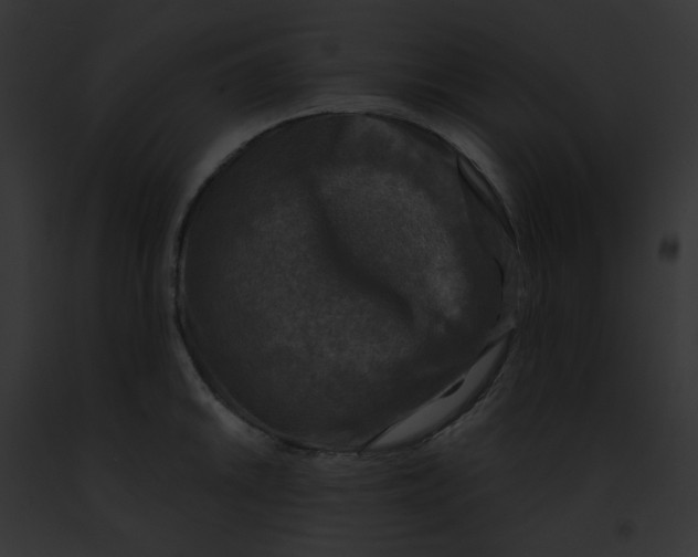 X0000091891046200710031137