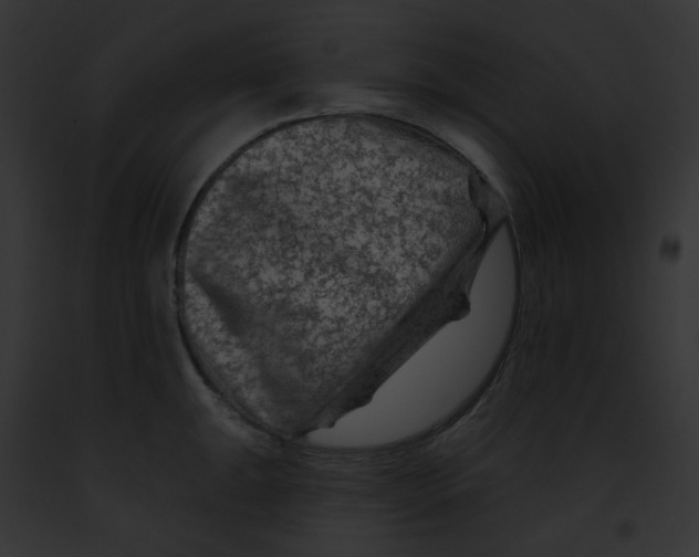 X0000091891047200710031137
