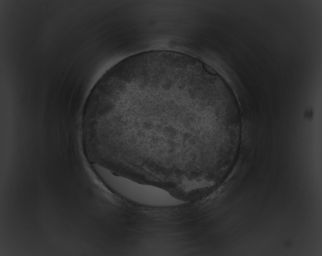 X0000091891048200710031137