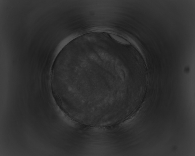 X0000091891050200710031137