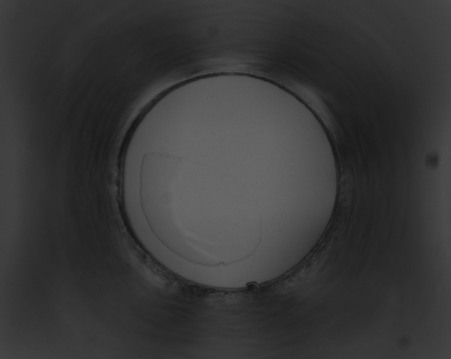 X0000091891051200710031137