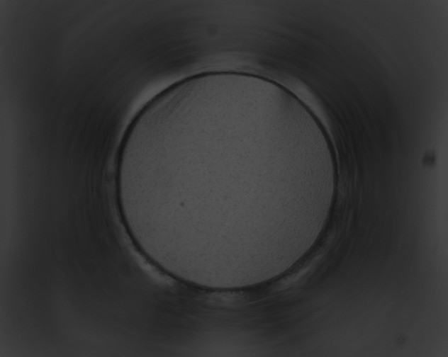 X0000091891053200710031137