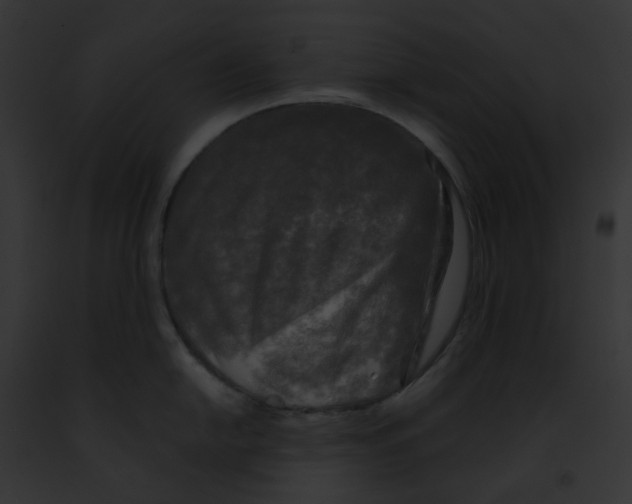 X0000091891054200710031137