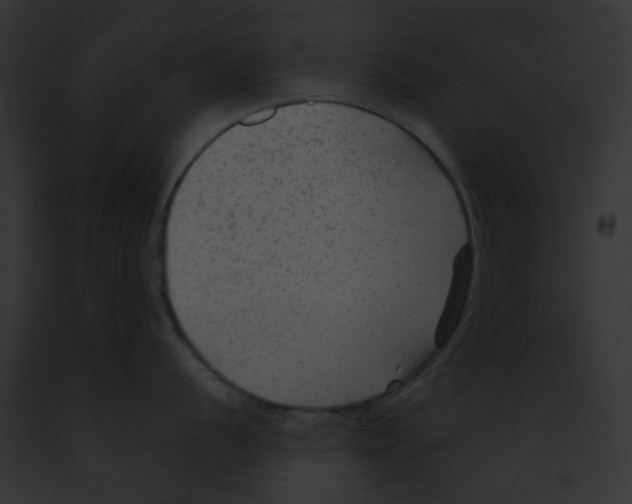 X0000091891056200710031137