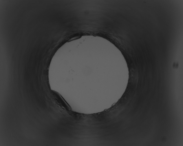 X0000091891057200710031137