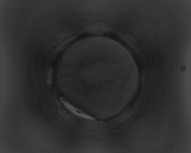 X0000091891060200710031137