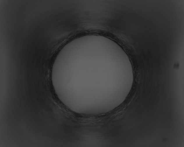 X0000091891061200710031137