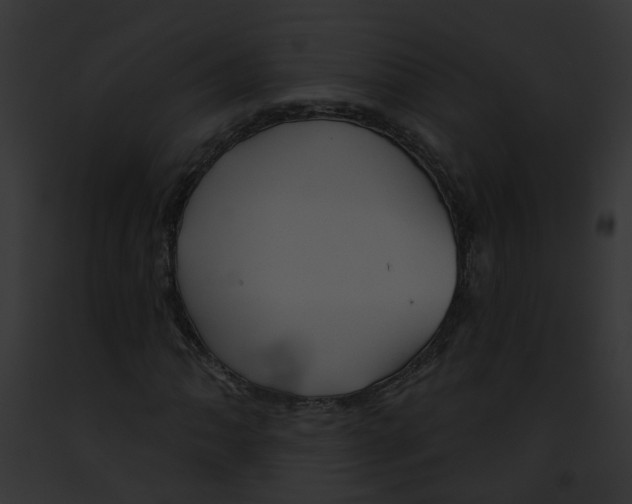 X0000091891062200710031137