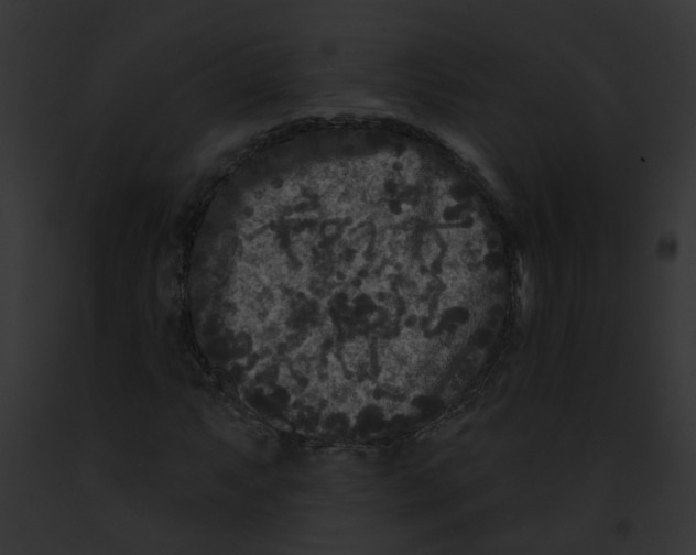 X0000091891063200710031137