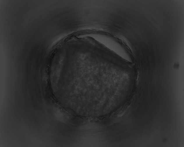 X0000091891064200710031137