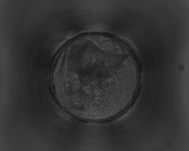 X0000091891065200710031136