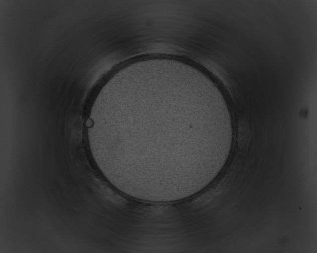 X0000091891067200710031136