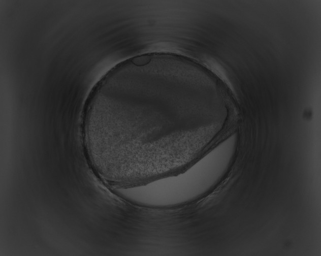 X0000091891068200710031136