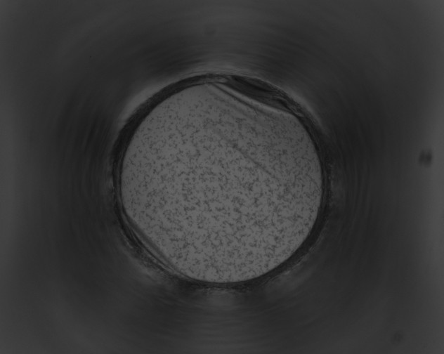 X0000091891070200710031136