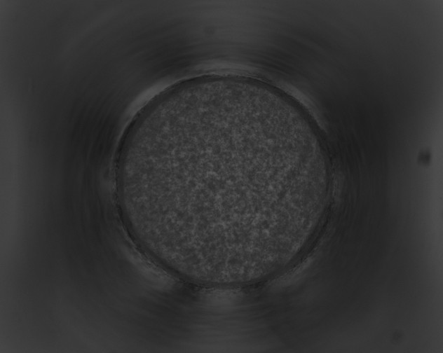 X0000091891074200710031136