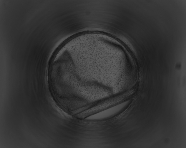 X0000091891076200710031136