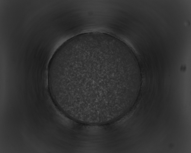 X0000091891079200710031136
